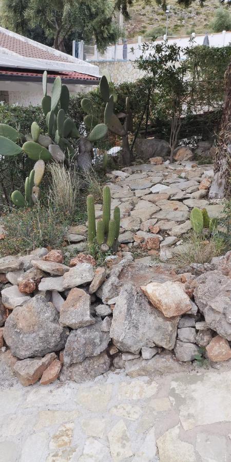 סקופלו Villetta Delizia מראה חיצוני תמונה